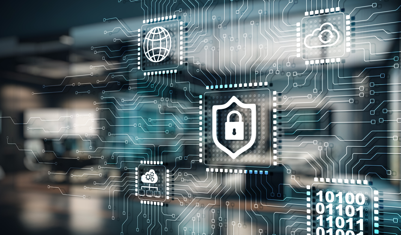 WordPress security with Majaid Web Solutions