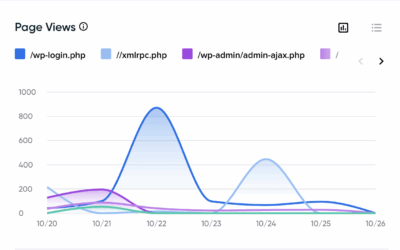 When Your New WordPress Website Goes Live: What Happens Next Might Surprise You
