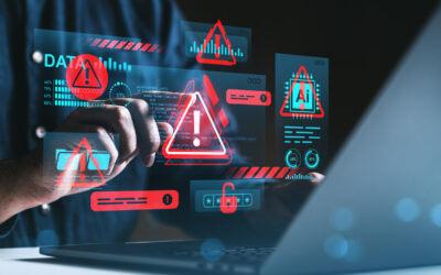 Why Business Owners Fixate on Low-Stakes Website Issues—and Ignore Security at Their Peril