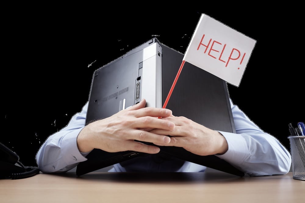 Expert WordPress Solutions